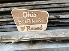 Cargar imagen en el visor de la galería, Signo del Parque Nacional de Ohio
